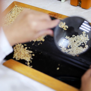 Ученые выяснили, какие зерновые продукты повышают риск смерти